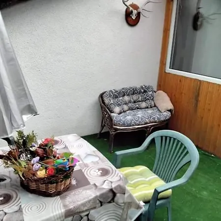 Apartment Cu Terasa La Casa Elena Timisoara