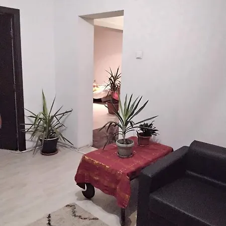 Cu Terasa La Casa Elena * Timisoara