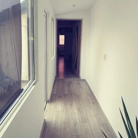 Cu Terasa La Casa Elena Apartment