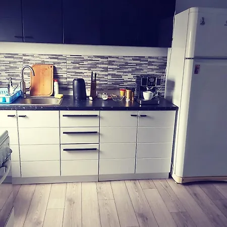 Cu Terasa La Casa Elena Appartement
