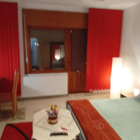 Cu Terasa La Casa Elena * Timisoara