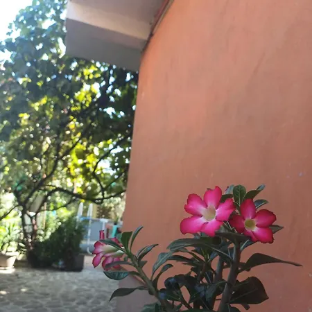 La Casa Gina, Iulius Mall * Timişoara