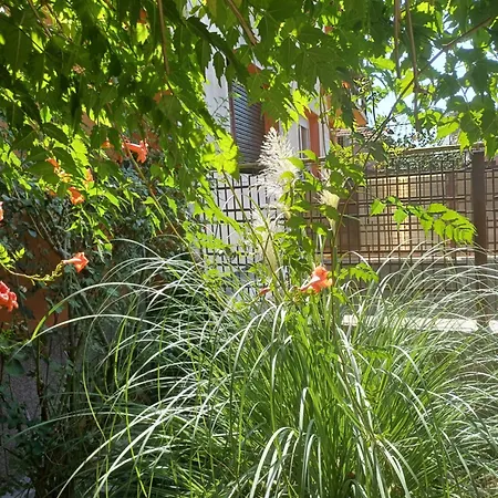 La Casa Gina, Iulius Mall *