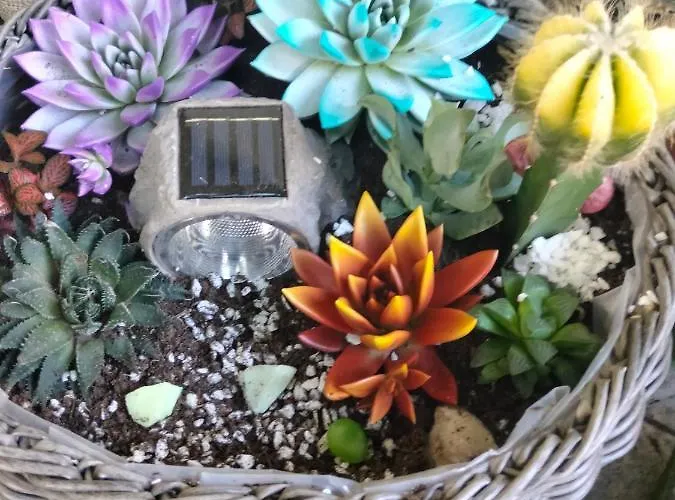 アパート La Casa Gina, Iulius Mall *