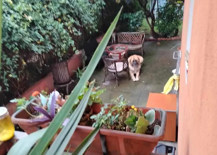 La Casa Gina, Iulius Mall Appartement Timişoara