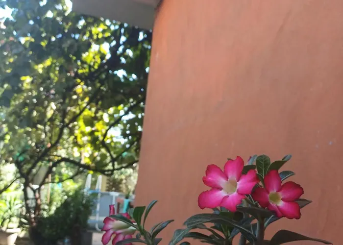 La Casa Gina, Iulius Mall * ティミショアラ