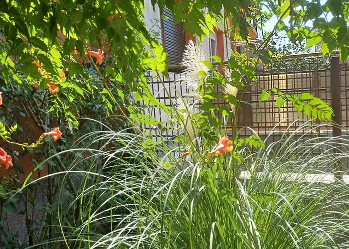 La Casa Gina, Iulius Mall *