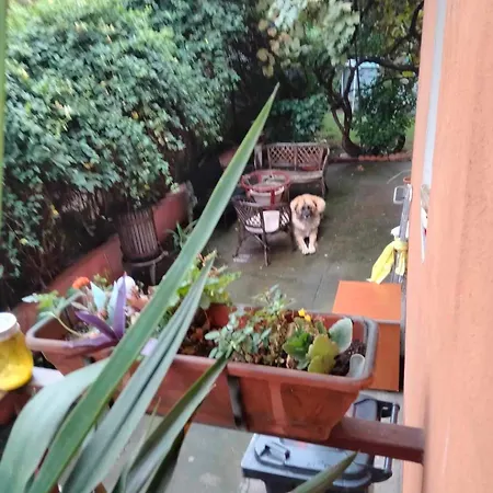 La Casa Gina, Iulius Mall Apartment Timisoara